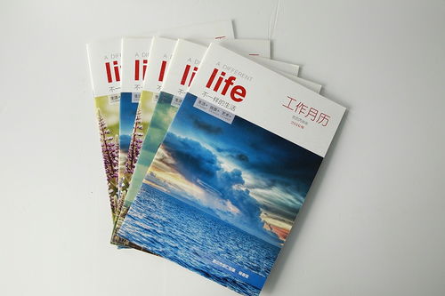 解鎖畫冊設(shè)計(jì)密碼 如何讓你的圖文快印店出品更具高級氣質(zhì)